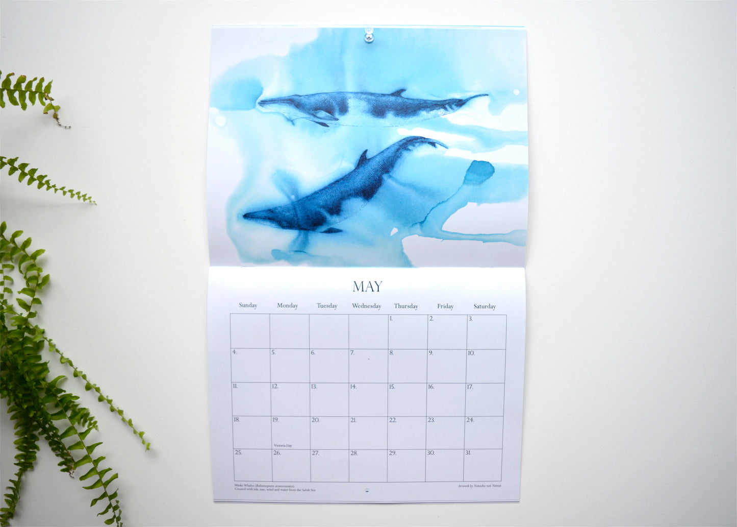 Calendar Whales & Water 2025 - NEW