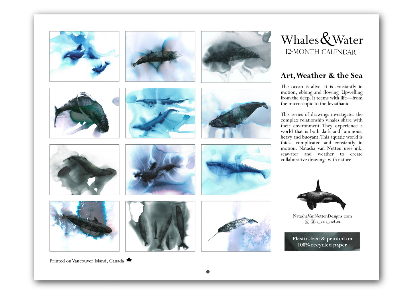 Calendar Whales & Water 2025 - NEW