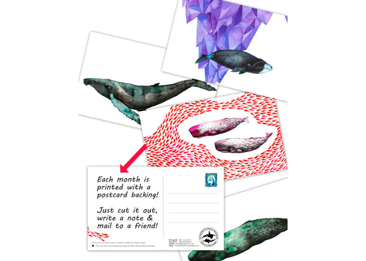 Whale Dreams Postcard Calendar 2026