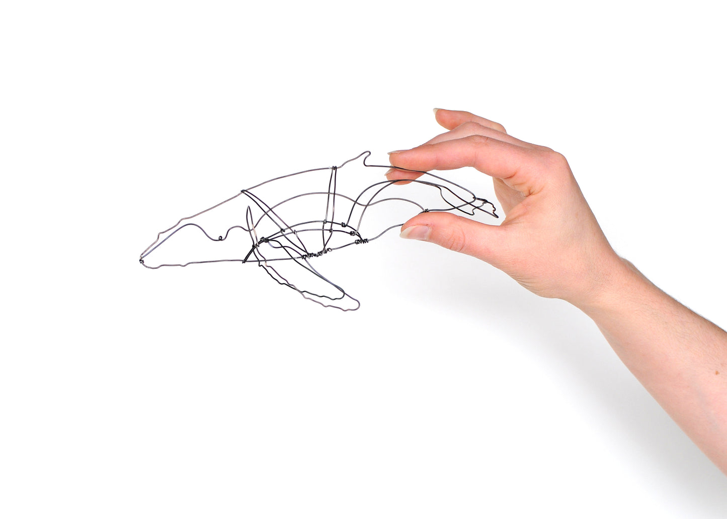 Photo of a 3D wire humpback whale sculpture held in hand.