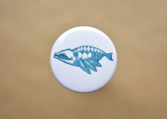Pin back button with an imaginative skeleton whale.