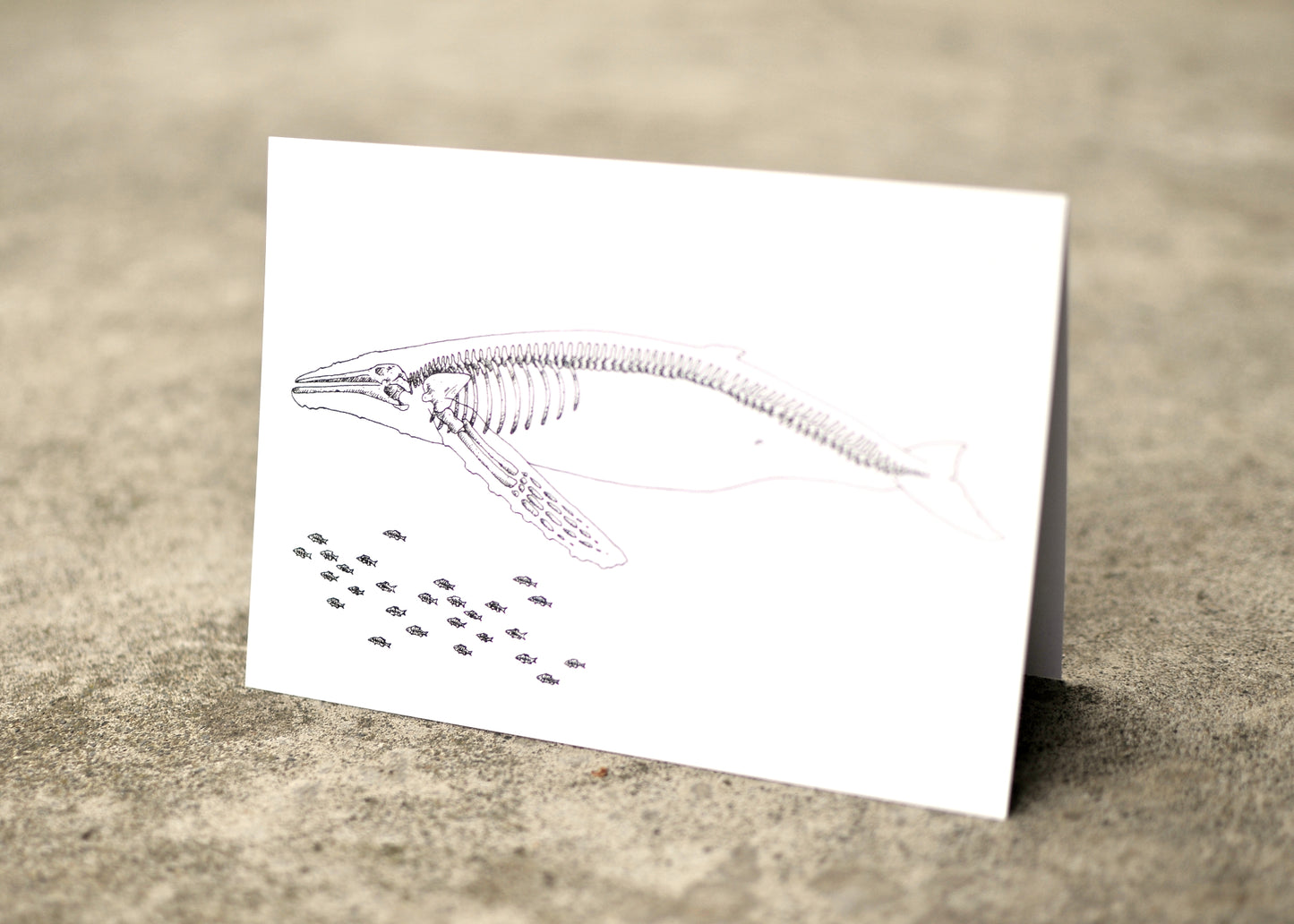 X-Ray Humpback Whale & Herring Greeting Card