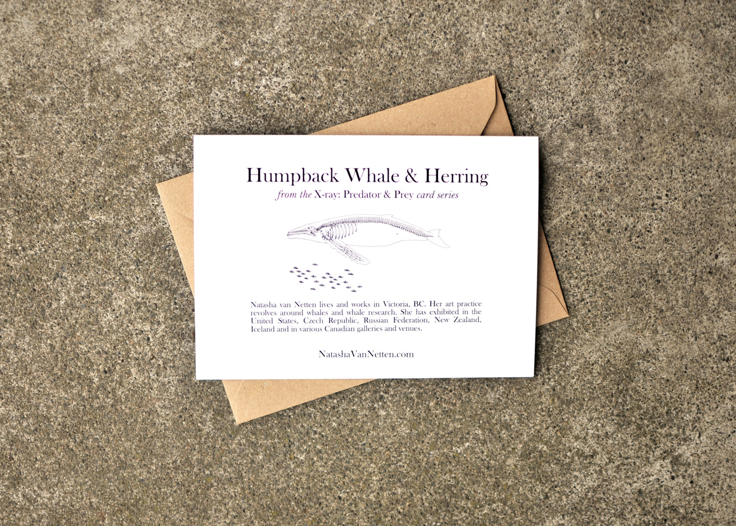 X-Ray Humpback Whale & Herring Greeting Card
