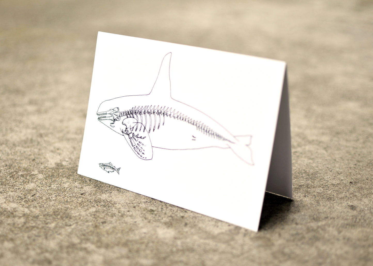 X-Ray Orca & Chinook Greeting Card