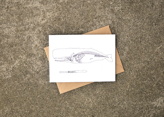 X-Ray Sperm Whale & Squid Greeting Card