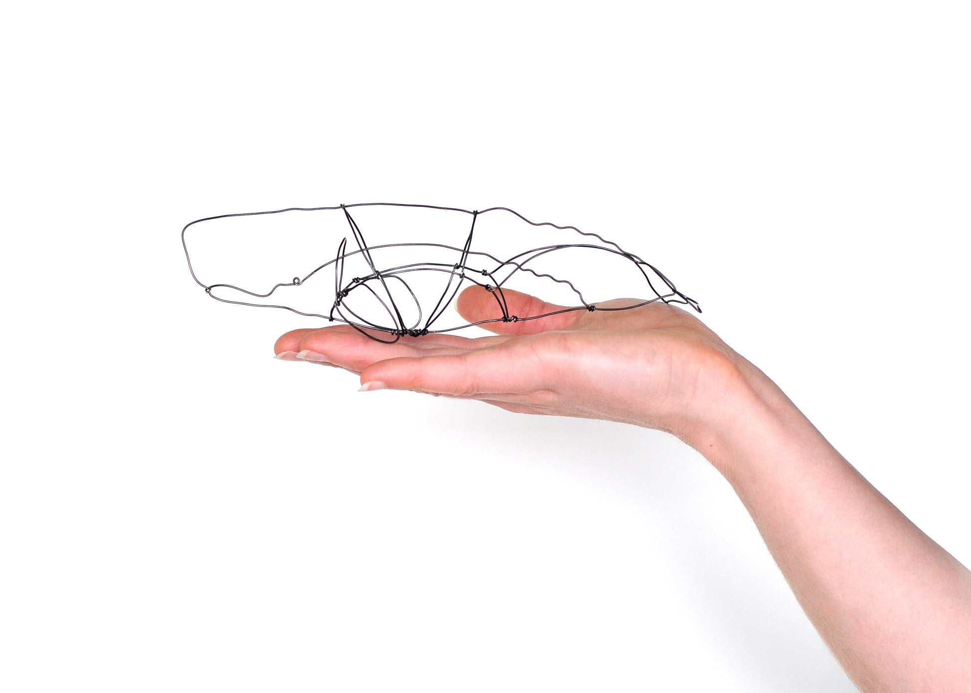 Photo of a 3D wire sperm whale sculpture held in a hand.