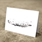 Typhlosis Beluga Greeting Card