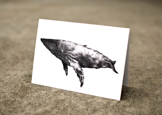 Typhlosis Whale Greeting Card Set