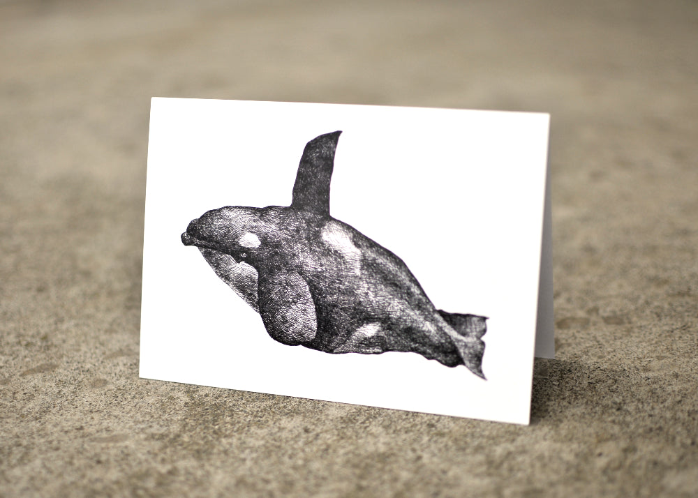 Typhlosis Orca Greeting Card