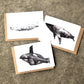 Typhlosis Orca Greeting Card